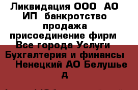 Ликвидация ООО, АО, ИП, банкротство, продажа, присоединение фирм - Все города Услуги » Бухгалтерия и финансы   . Ненецкий АО,Белушье д.